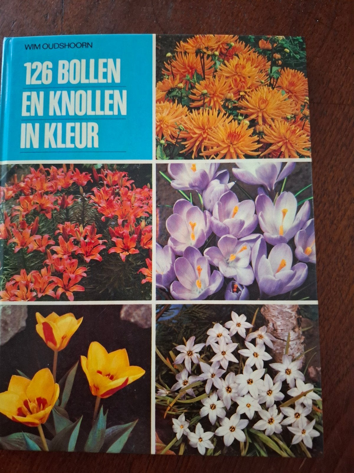 126 Bollen en Knollen in Kleur - Tuinboek Wim Oudshoorn, Ophalen of Verzenden, Zo goed als nieuw, Wim Oudshoorn, Tuinieren en Tuinplanten