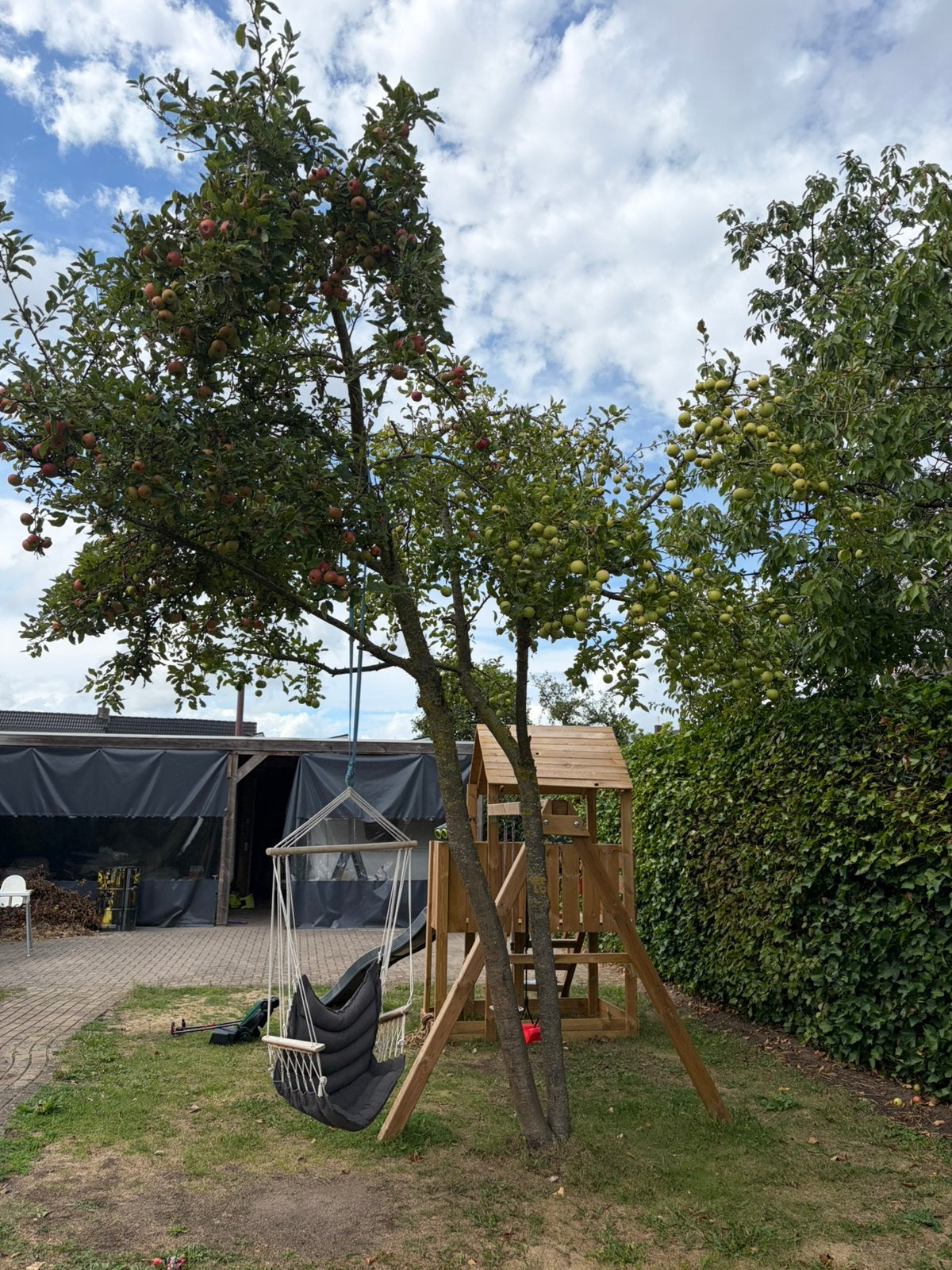 2 appelbomen gratis, Tuin en Terras, Planten | Bomen, Ophalen, Zomer, Overige soorten, 250 tot 400 cm