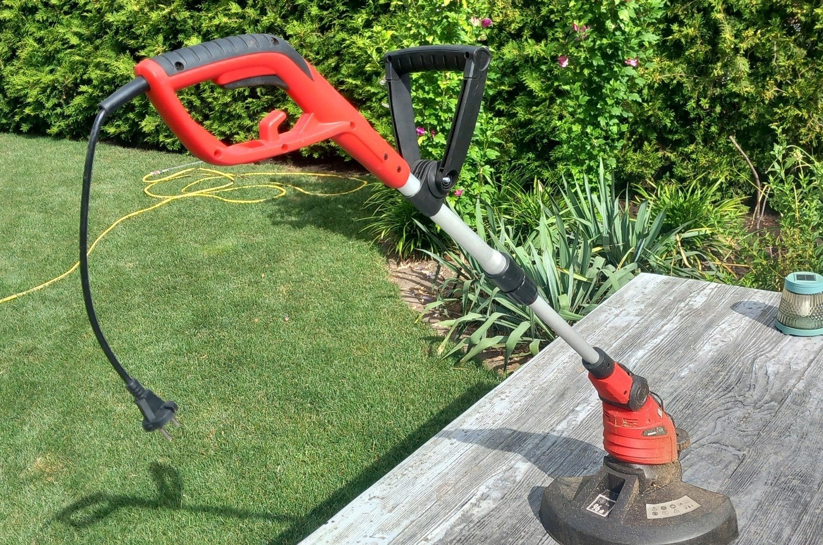 Elektrische grastrimmer - Rood en Zwart, Ophalen, Cirkelmaaier, Gebruikt, Elektrische grasmaaier
