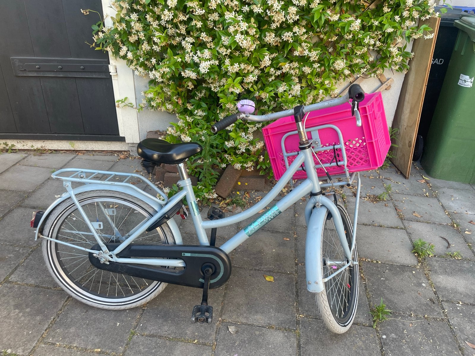 Kinderfiets 20 inch Alpina, Ophalen of Verzenden, Gebruikt, Terugtraprem, 20 inch of meer