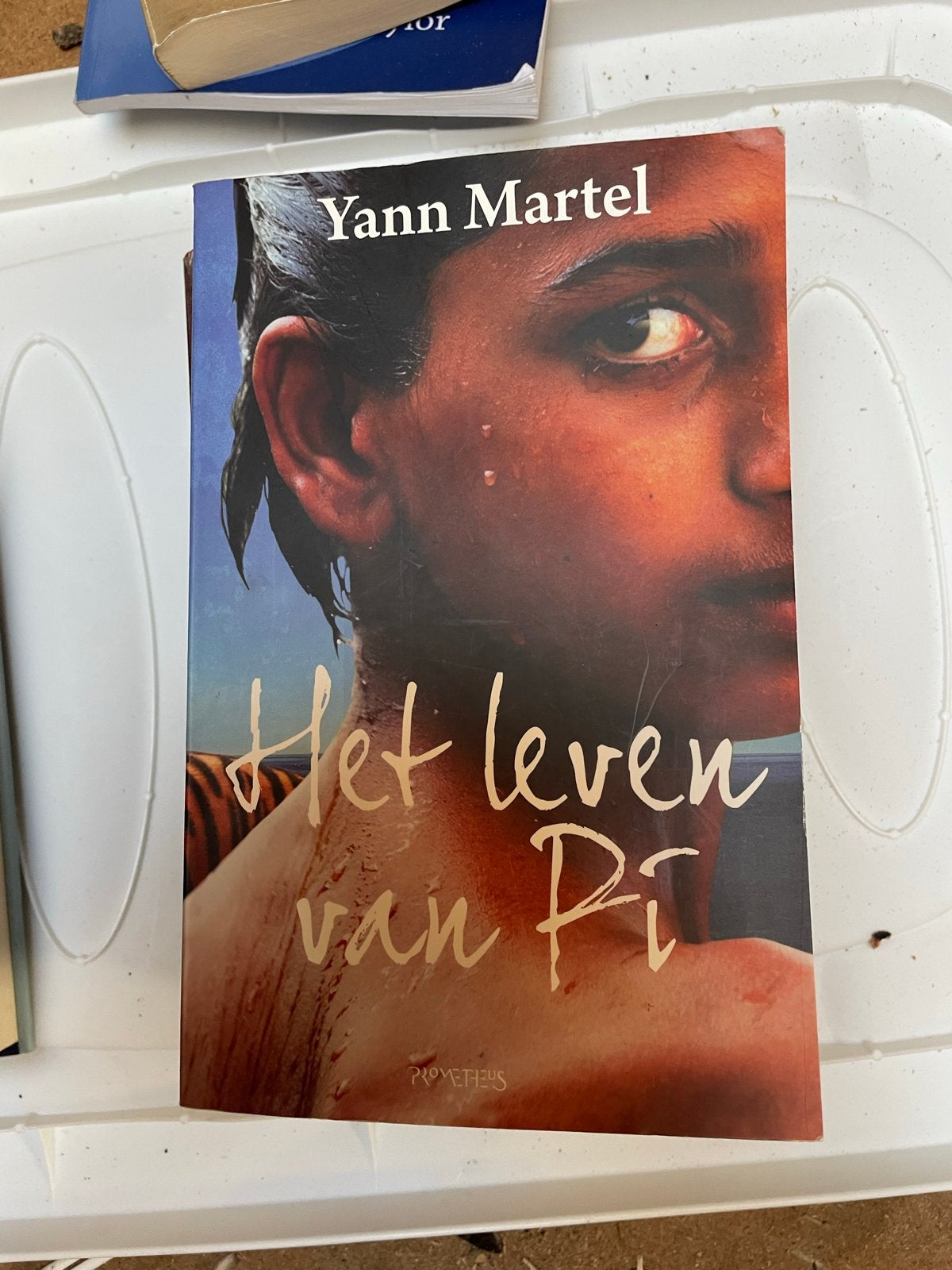 Het leven van Pi - Yann Martel (roman), Ophalen of Verzenden, Gelezen, Wereld overig