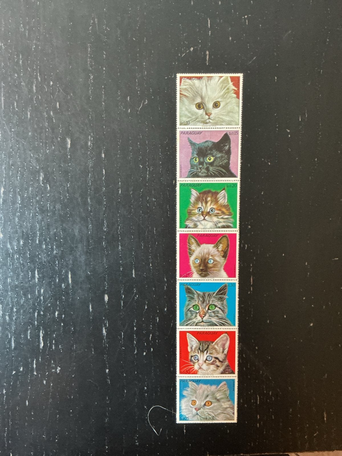 Paraguay postzegels katten - 7 stuks, Postzegels en Munten, Postzegels | Thematische zegels, Ophalen of Verzenden, Postfris