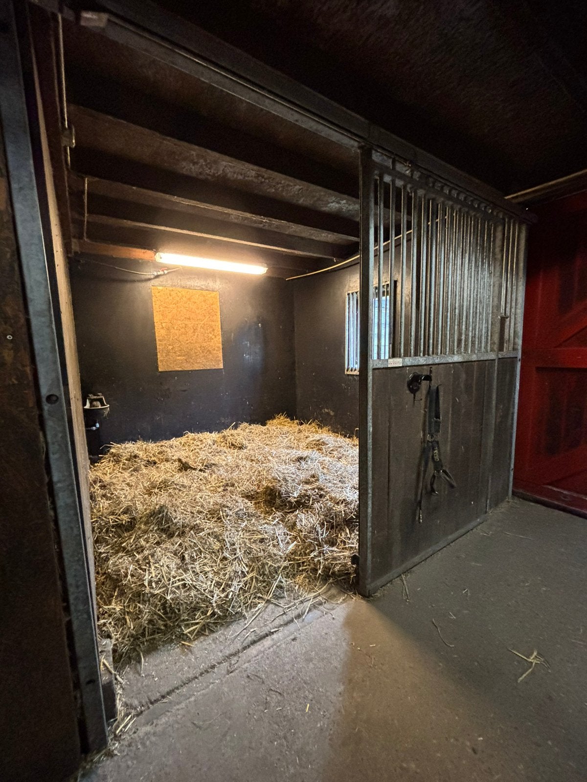 Trainingsplek vrij pony en/of paard !, Diensten en Vakmensen, Dieren | Paarden | Verzorging, Oppas en Les, Ruiter of Bijrijder