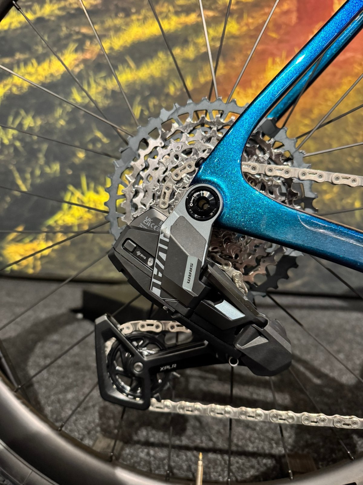 Nieuw Sensa Giulia XP Elite gravelbikes matenL&XL Vol opties, Overige merken, Carbon, Nieuw, Ophalen of Verzenden