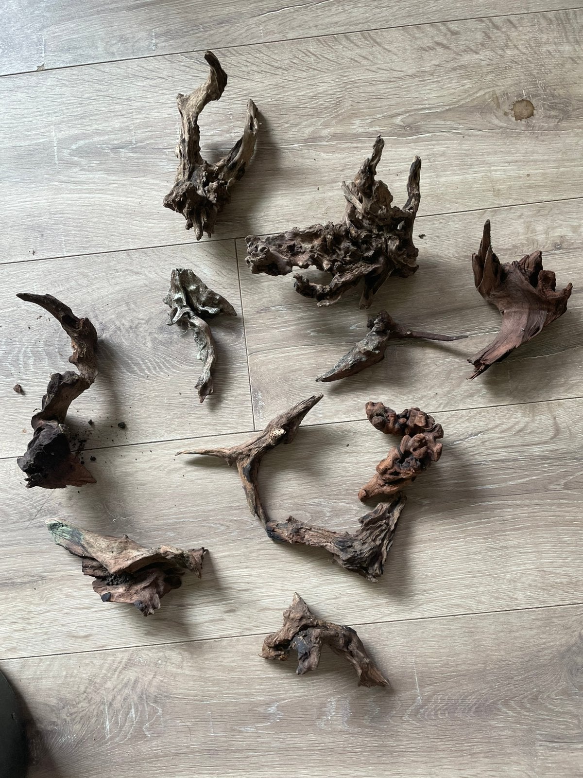 Complete Aquarium Hardscape Set – Spiderwood / Driftwood, Ophalen of Verzenden, Zo goed als nieuw, Plant(en), Steen of Hout