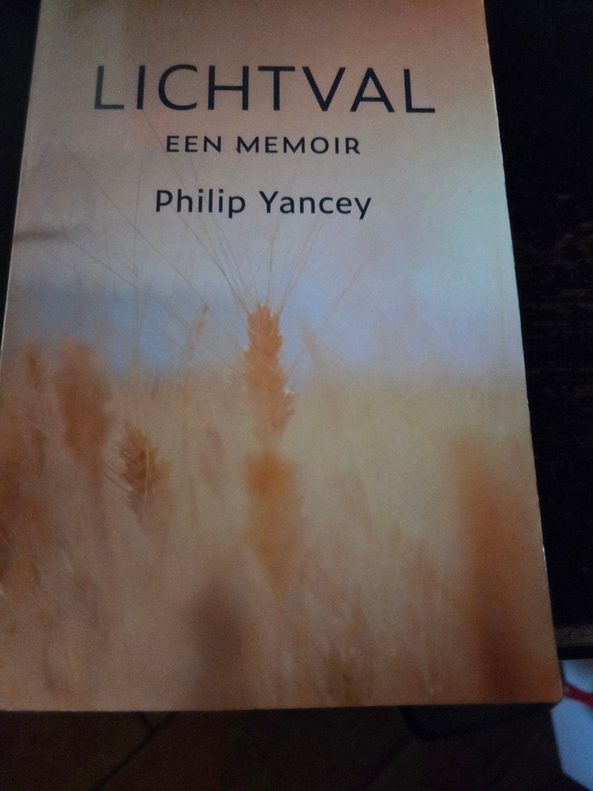Lichtval, Boeken, Advies, Hulp en Training, Ophalen of Verzenden, Zo goed als nieuw