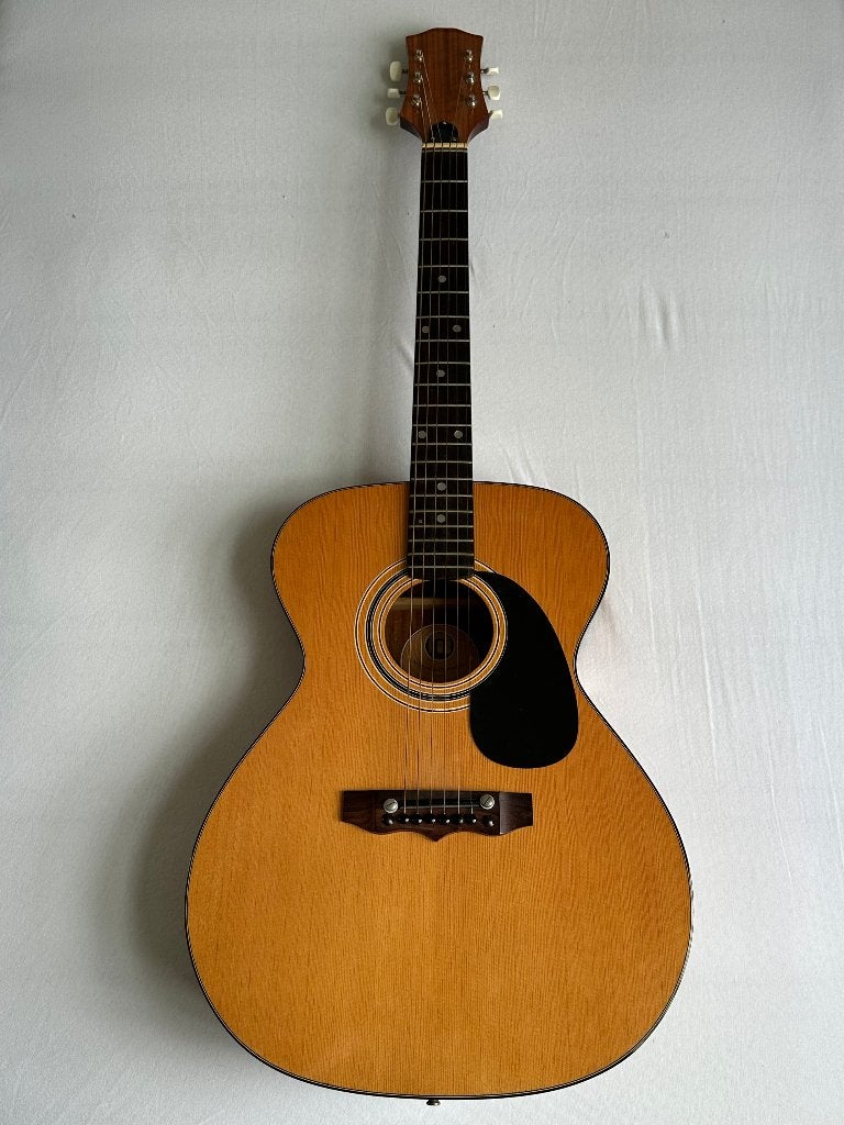 Melody Guitars (Italy), Muziek en Instrumenten, Ophalen, Zo goed als nieuw, Klassieke of Spaanse gitaar