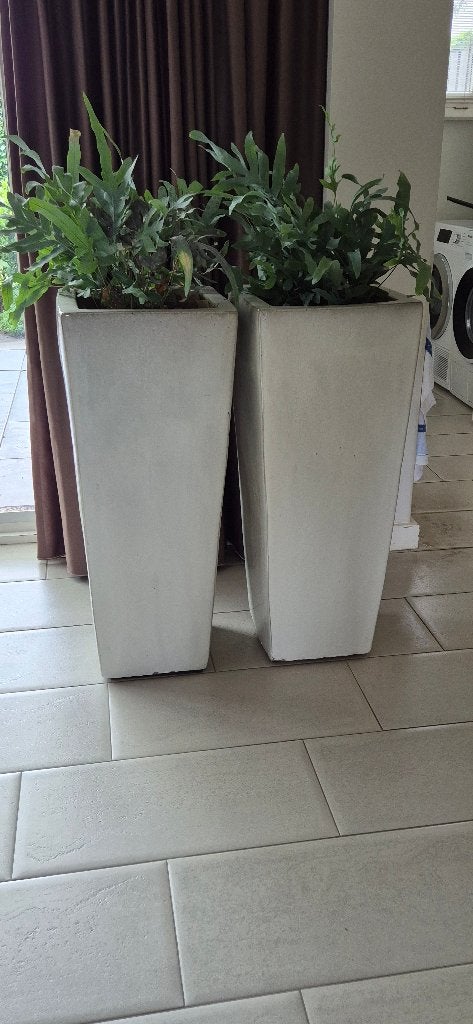 potten, Tuin en Terras, Bloempotten, Steen, Gebruikt, Vierkant, 70 cm of meer
