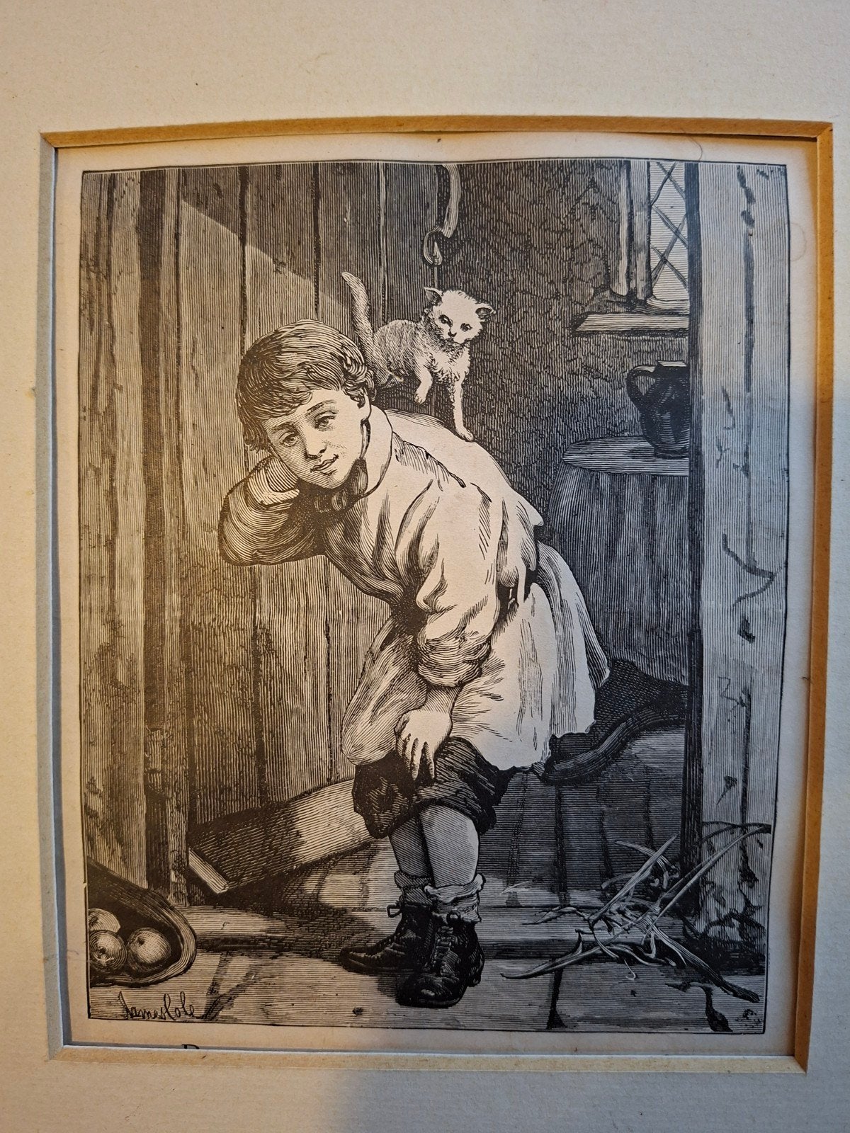 19e-eeuwse gravure "The Wasp" (James Cole) - Ingelijst, Ophalen of Verzenden