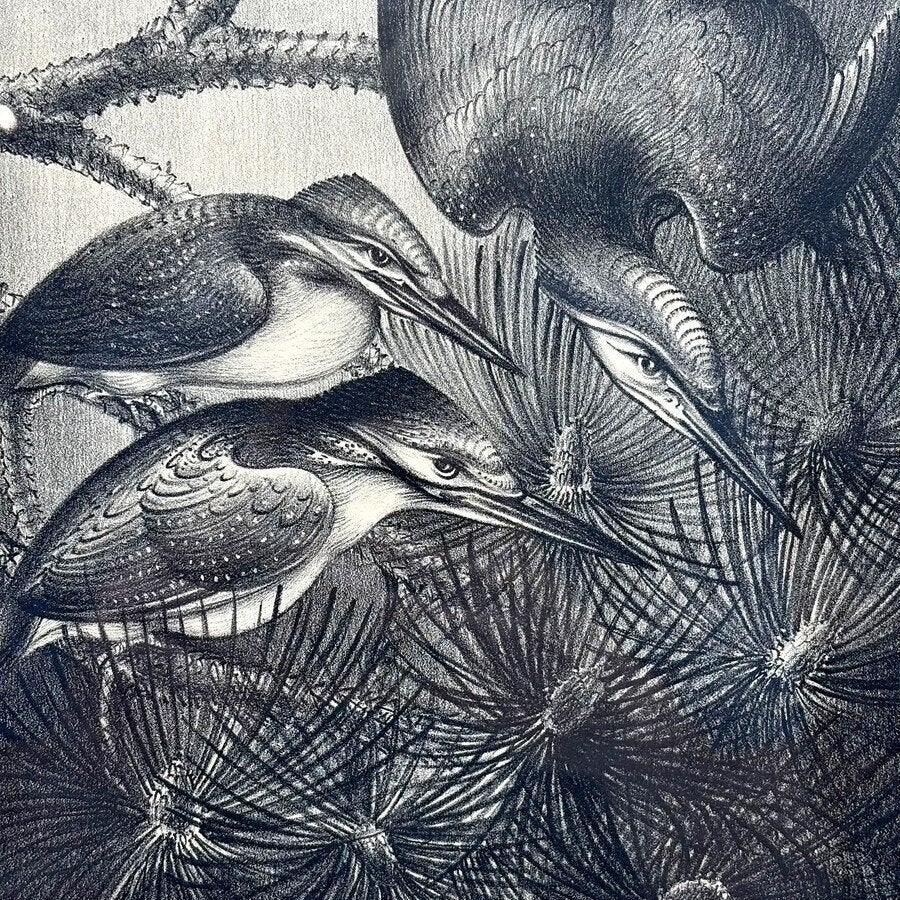 Jan Schonk (1889-1976) - Twee litho’s, vogels, Gesigneerd, Ophalen of Verzenden, Dieren en Natuur, Lithografie