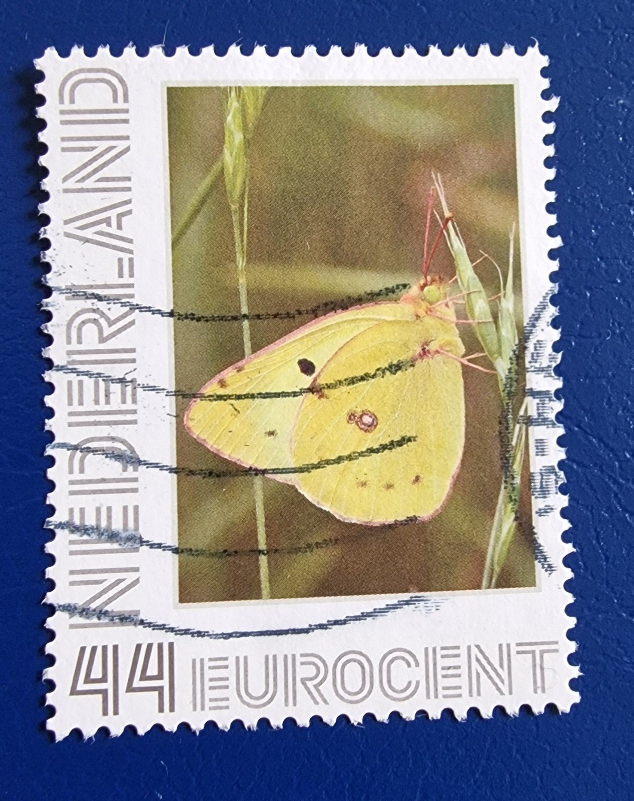 kv1376 persoonlijke  postzegel 44 eurocent met vlinder, Ophalen of Verzenden, Na 1940, Gestempeld