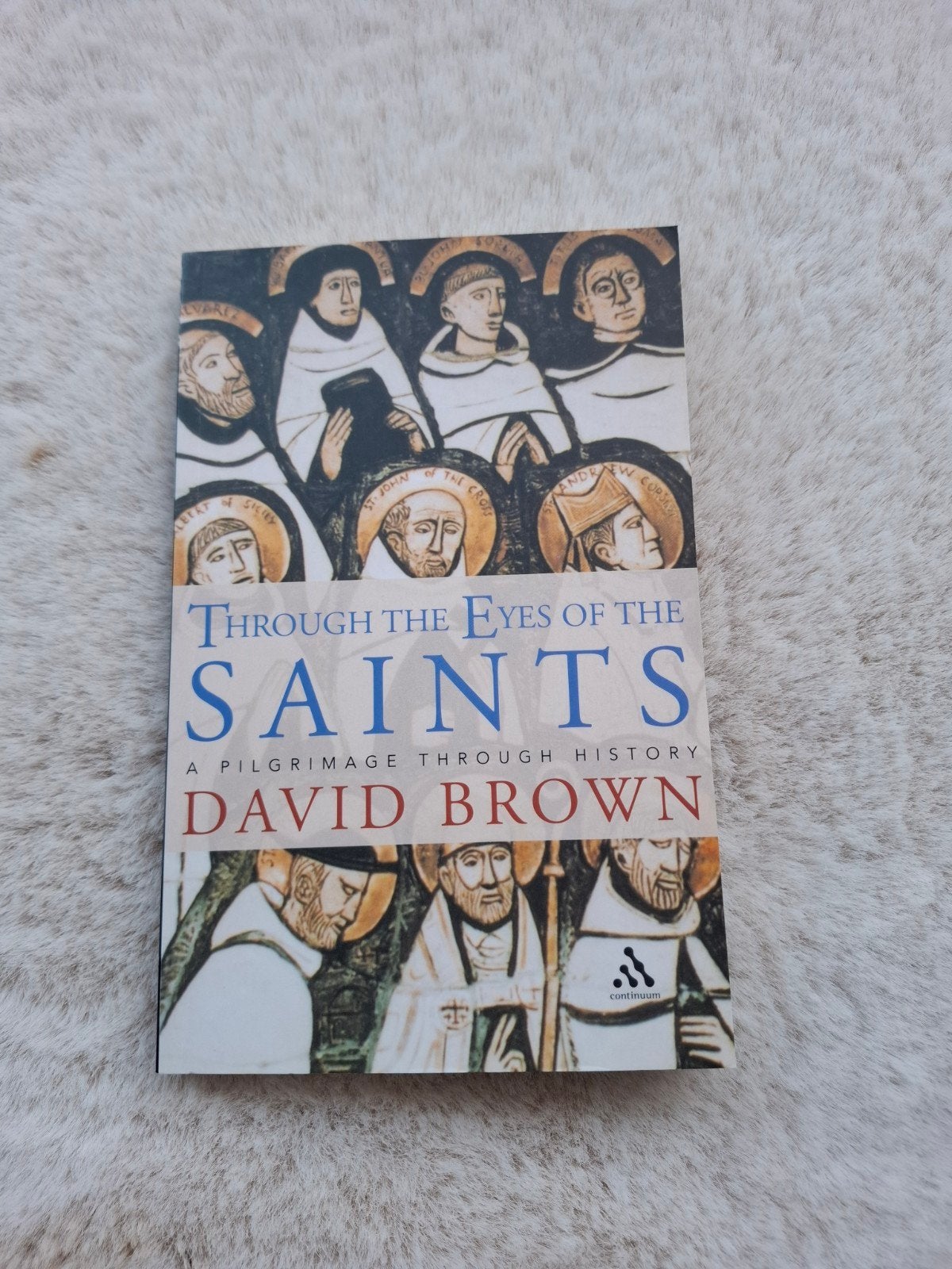Through the Eyes of the Saints David Brown, Boeken, Ophalen of Verzenden, Zo goed als nieuw, David Brown, Europa