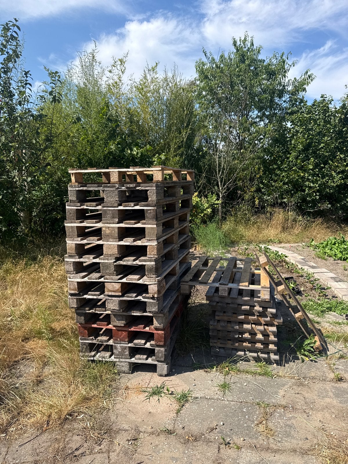 Gebruikte Pallets - Diverse Maten, Ophalen, Gebruikt, 50 mm of meer, Pallet