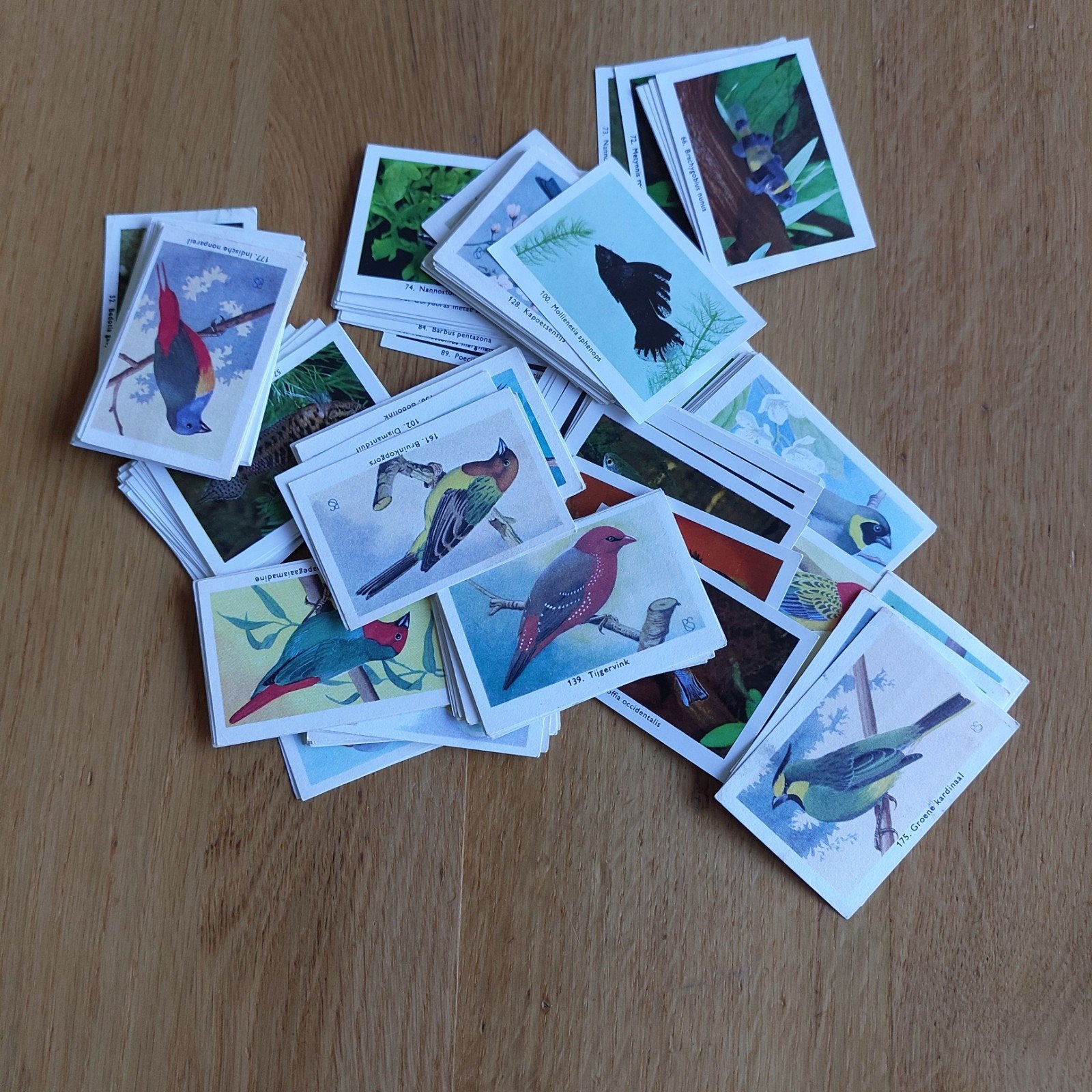 Vintage Rizla Plaatjes: Exotische Volièrevogels (101-150), Ophalen of Verzenden, Meerdere plaatjes