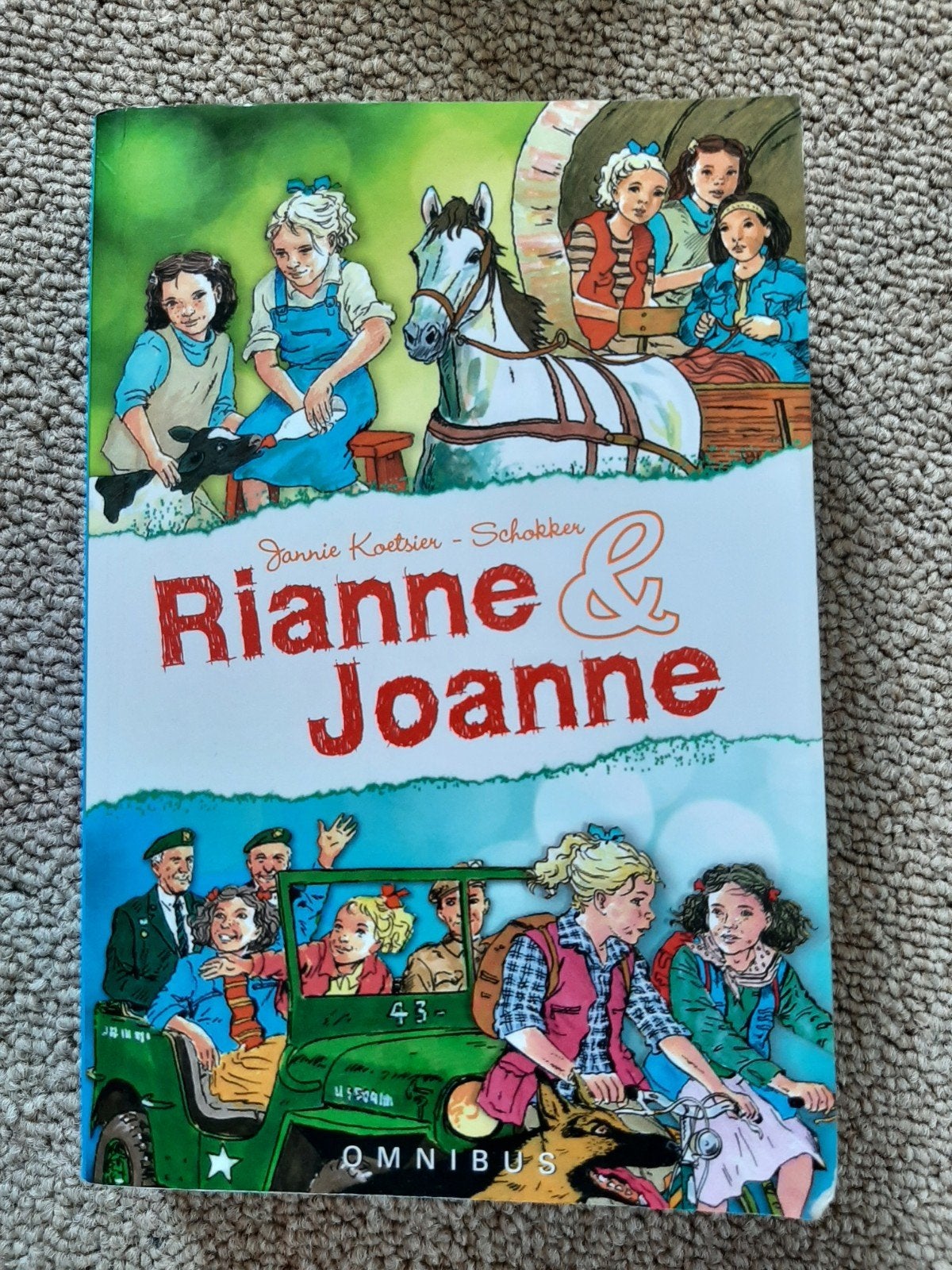 Rianne & Joanne Omnibus - Jannie Koetsier-Schokker, Ophalen of Verzenden, Gelezen, Jannie Koetsier-Schokker, Fictie algemeen
