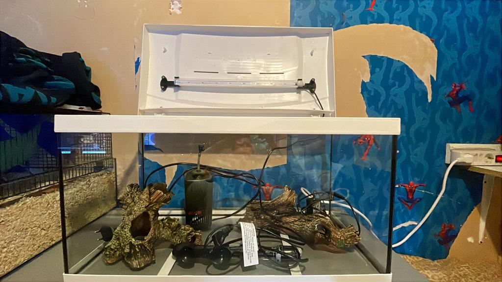 Aquarium, Dieren en Toebehoren, Vissen | Aquaria en Toebehoren, Ophalen, Gebruikt