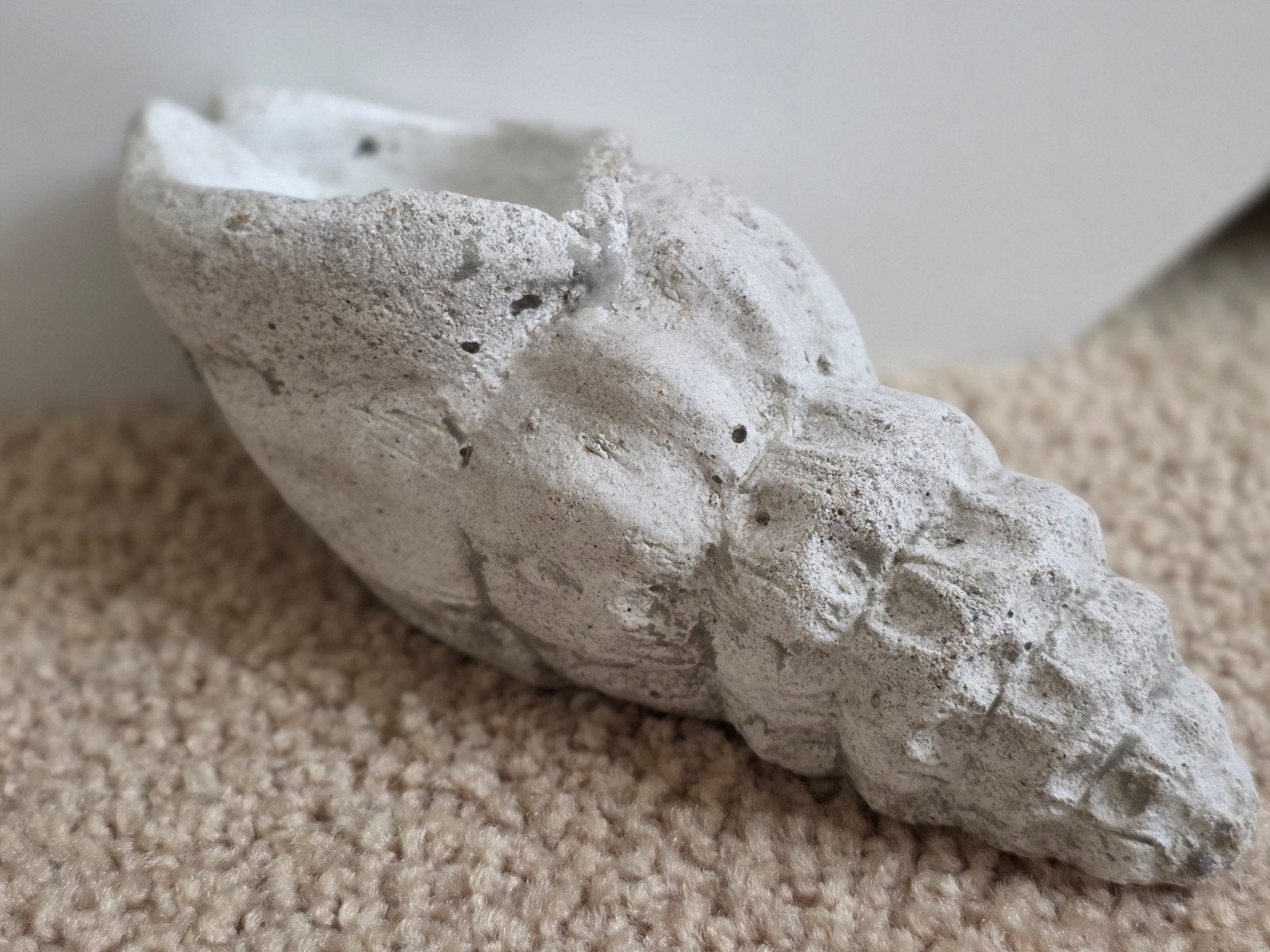 Stenen schelp, Antiek en Kunst, Ophalen