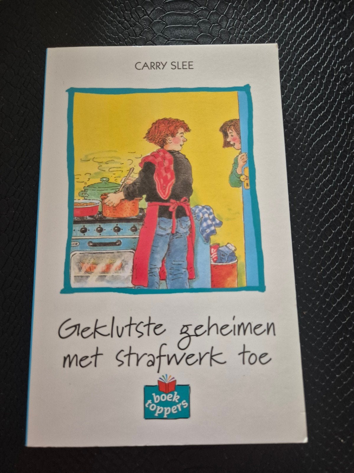 Gekluste geheimen met strafwerk toe, Ophalen of Verzenden, Zo goed als nieuw, Carry Slee