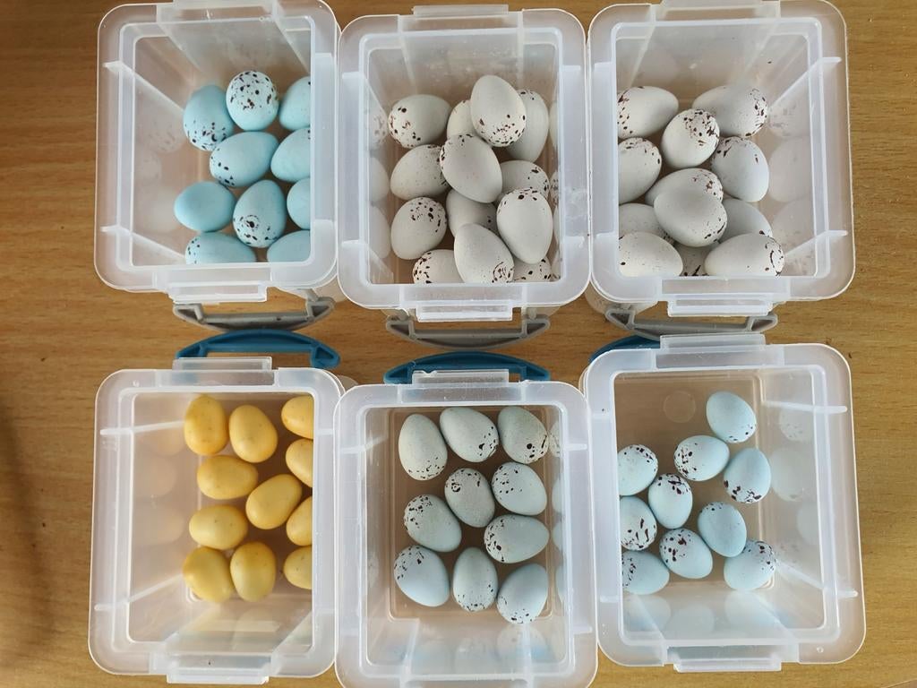 Te koop diverse kunst eitjes., Ophalen of Verzenden, Kooi-accessoires