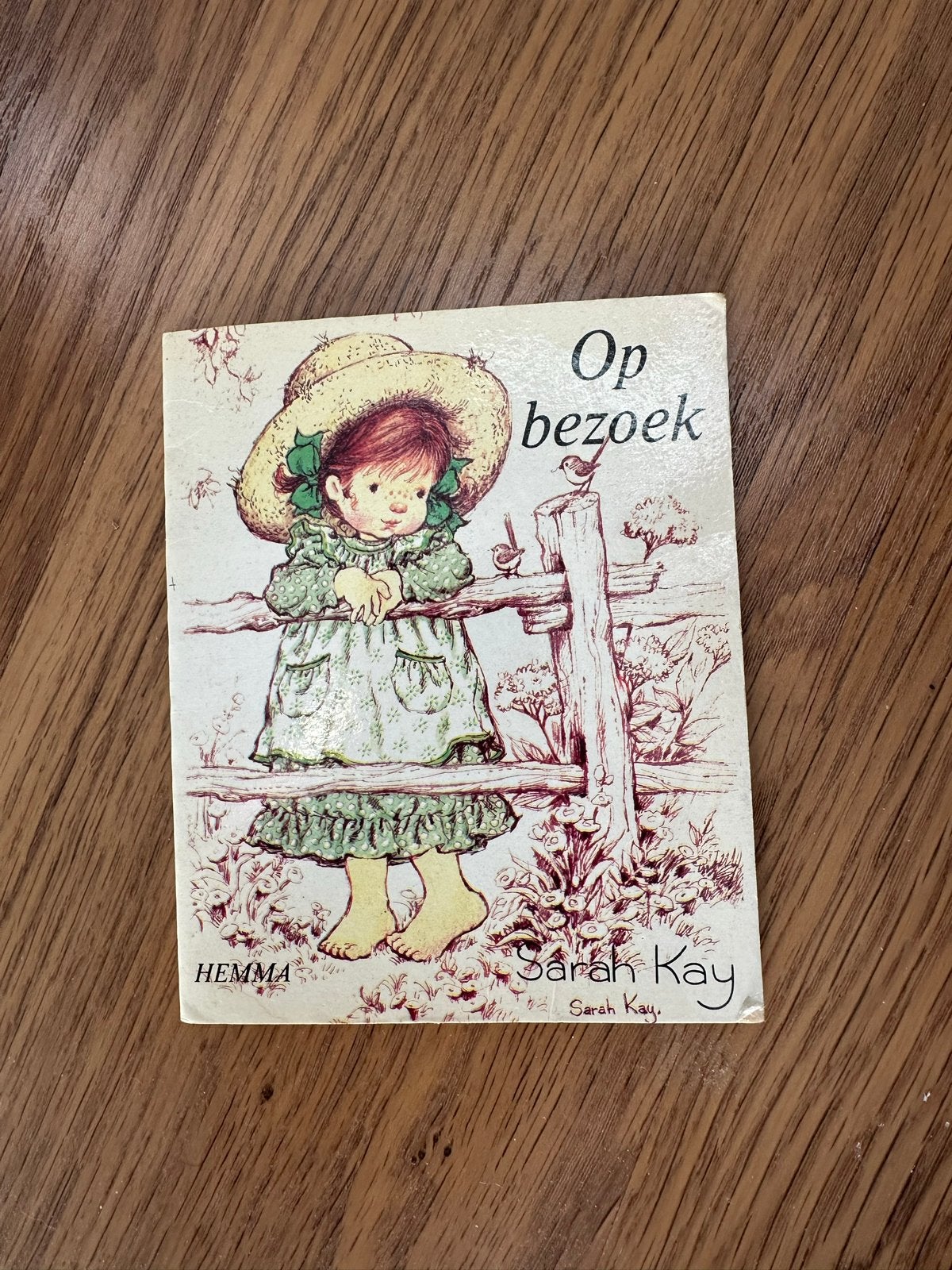 Op bezoek - Sarah Kay (Hemma), Boeken, Ophalen of Verzenden, Gelezen, Fictie algemeen