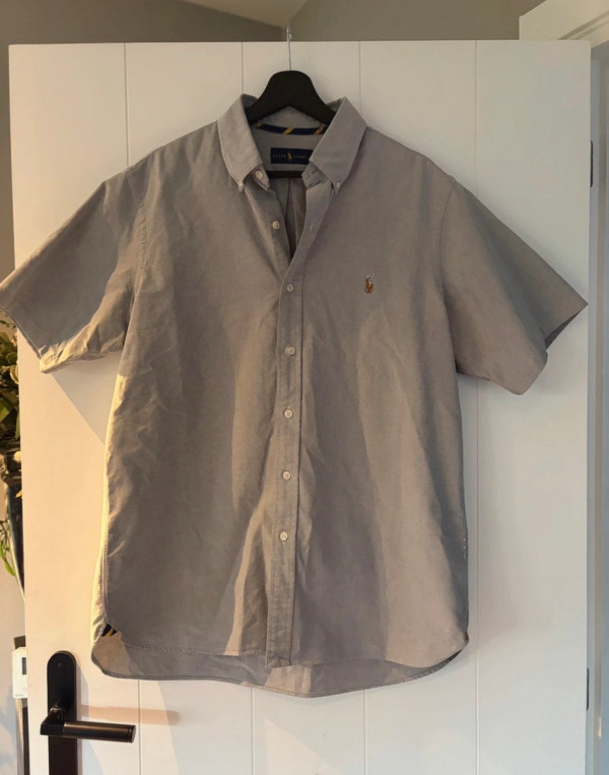 Nieuwe Short Sleeve Classic Oxford blouse - Maat L, Kleding | Heren, Overhemden, Ophalen of Verzenden, Nieuw, Grijs, Halswijdte 41/42 (L)