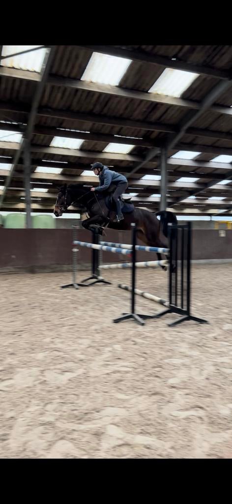 Springtrainer, Dieren en Toebehoren, Ophalen, Zo goed als nieuw, Overige soorten