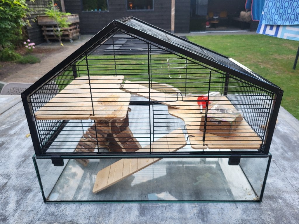 Hamsterkooi, Dieren en Toebehoren, Knaagdieren en Konijnen | Hokken en Kooien, Gebruikt, Kooi, Minder dan 60 cm, Minder dan 75 cm