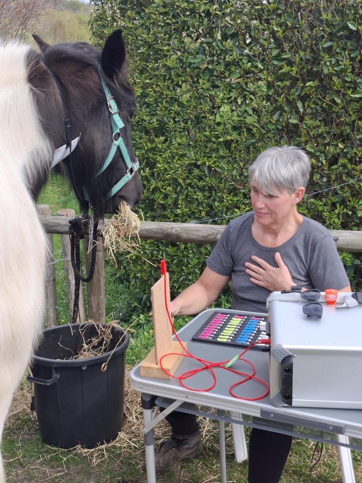 Behandeling van allergie bij paarden, Ophalen