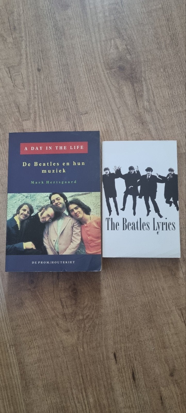 the Beatles  lyrics / a day in the life, Boeken, Ophalen of Verzenden, Zo goed als nieuw