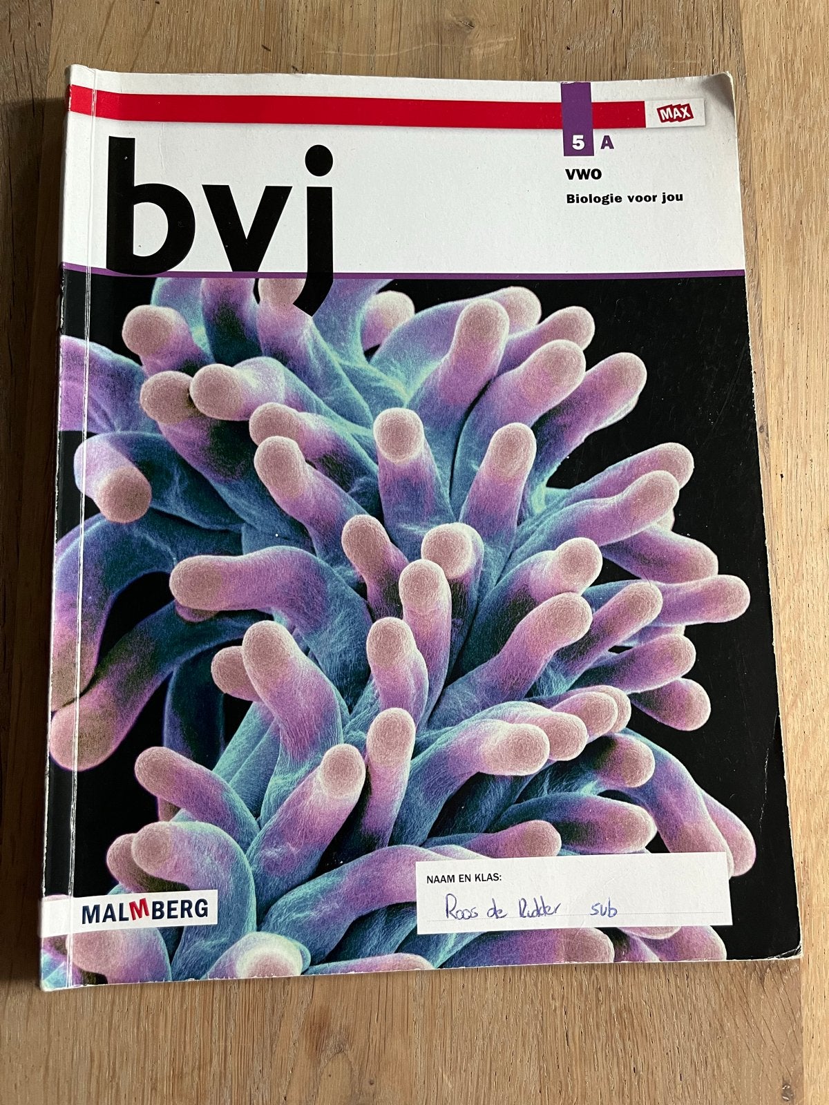 Bvj Biologie voor jou 5A VWO Malmberg, Boeken, Verzenden, Gelezen, VWO, Biologie