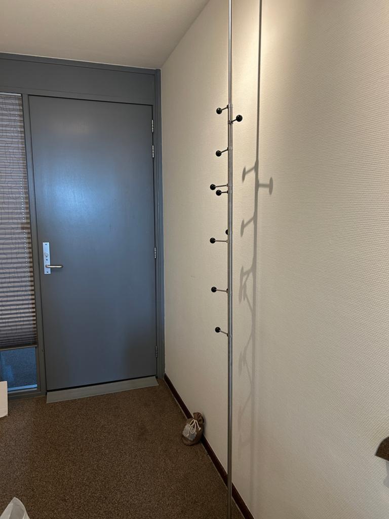 Moderne rvs kapstok, Huis en Inrichting, Woonaccessoires | Kapstokken, Ophalen, Gebruikt, 200 cm of meer, Metaal