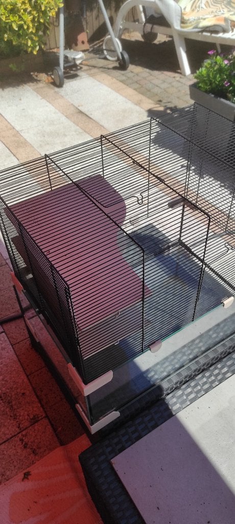 hamsterkooi Ferplast 60, Dieren en Toebehoren, Knaagdieren en Konijnen | Hokken en Kooien, Kooi, Gebruikt, Minder dan 75 cm, Muis