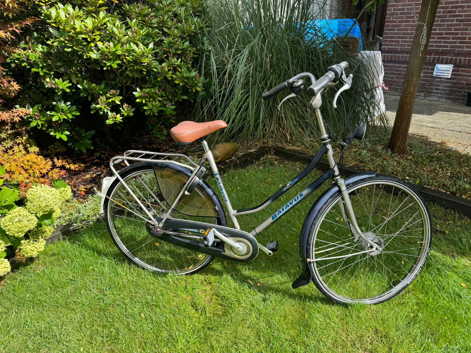 Batavus Torino damesfiets, Fietsen en Brommers, Fietsen | Dames | Damesfietsen, Ophalen, Velgrem, Versnellingen, Batavus