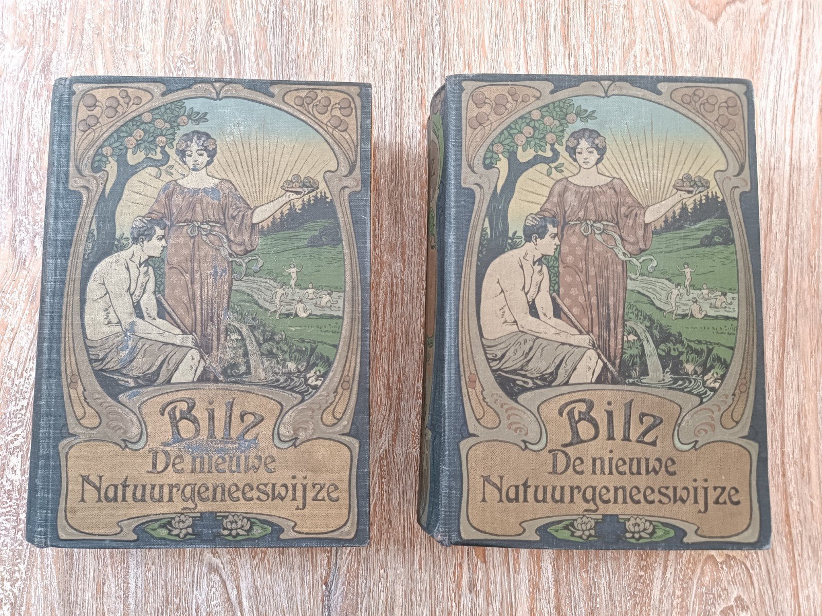 Bils deel 1 & 2 , nieuwe natuurgeneeswijze, Ophalen of Verzenden