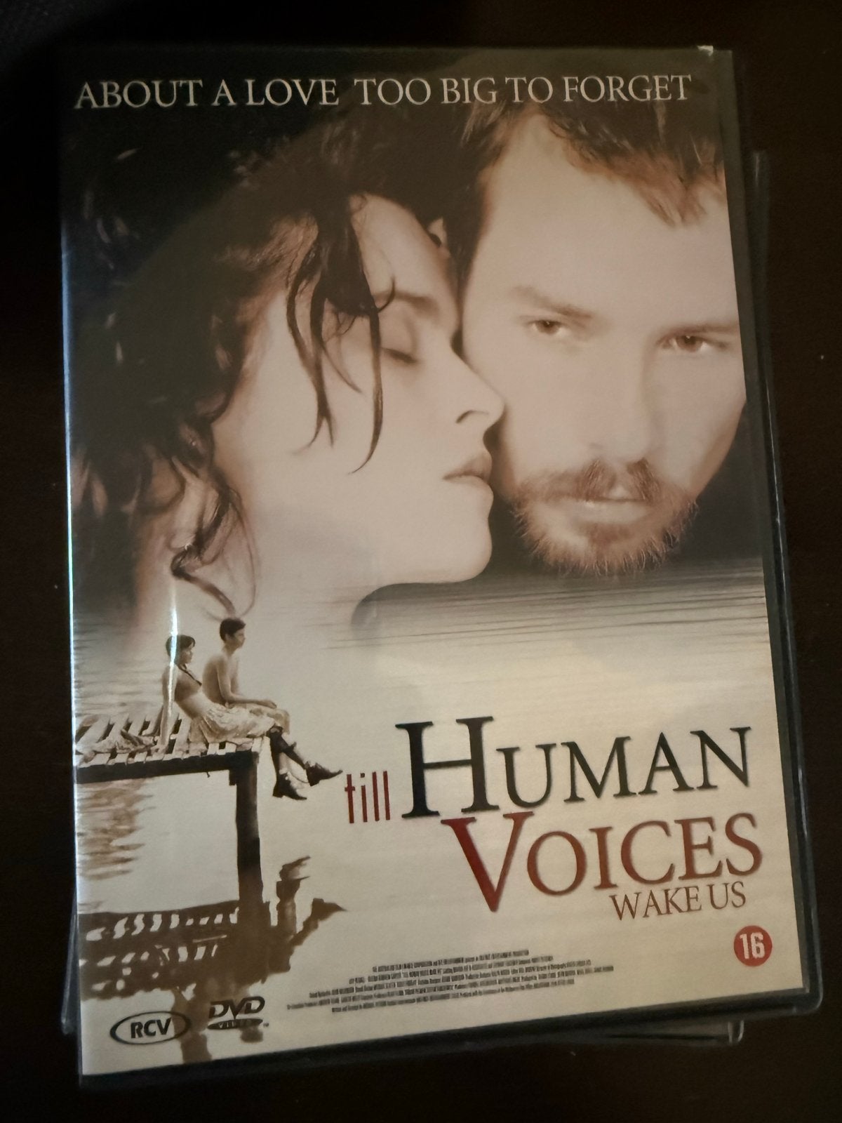 Till Human Voices Wake Us (DVD) - Zo goed als nieuw, Vanaf 16 jaar, Nederlands, Zo goed als nieuw, Engels