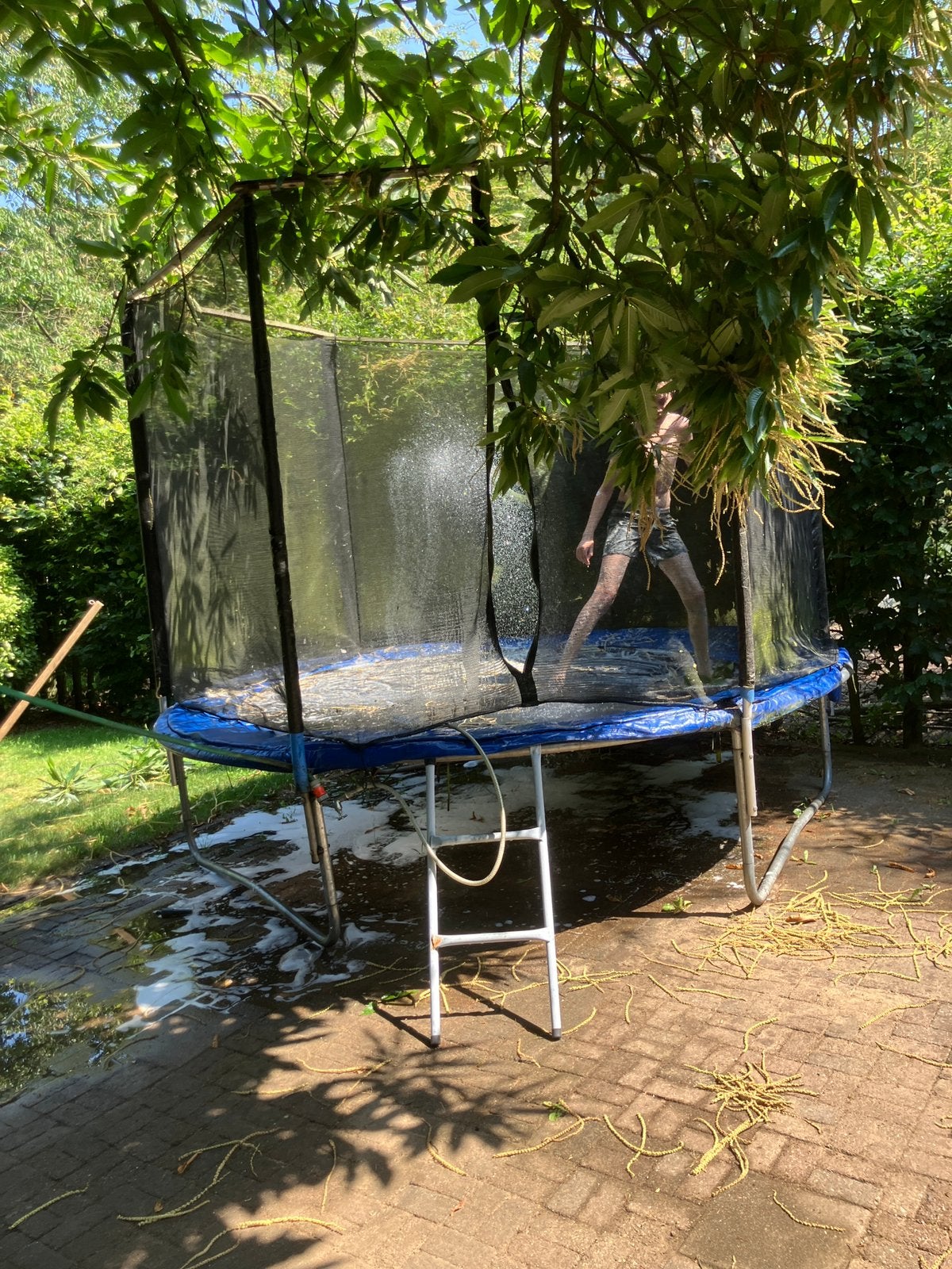 Trampoline 2,40 meter met net en trapje, alles in orde, Ophalen, Gebruikt