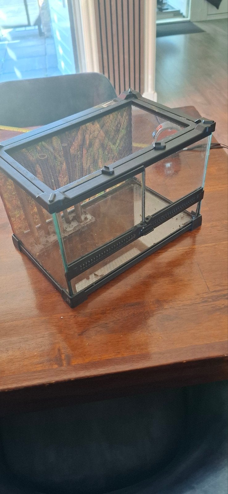 leuk klein terarium  20/20 30Cm, Dieren en Toebehoren, Ophalen
