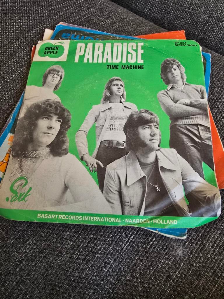 Paradise Single, Ophalen of Verzenden, Gebruikt, Pop