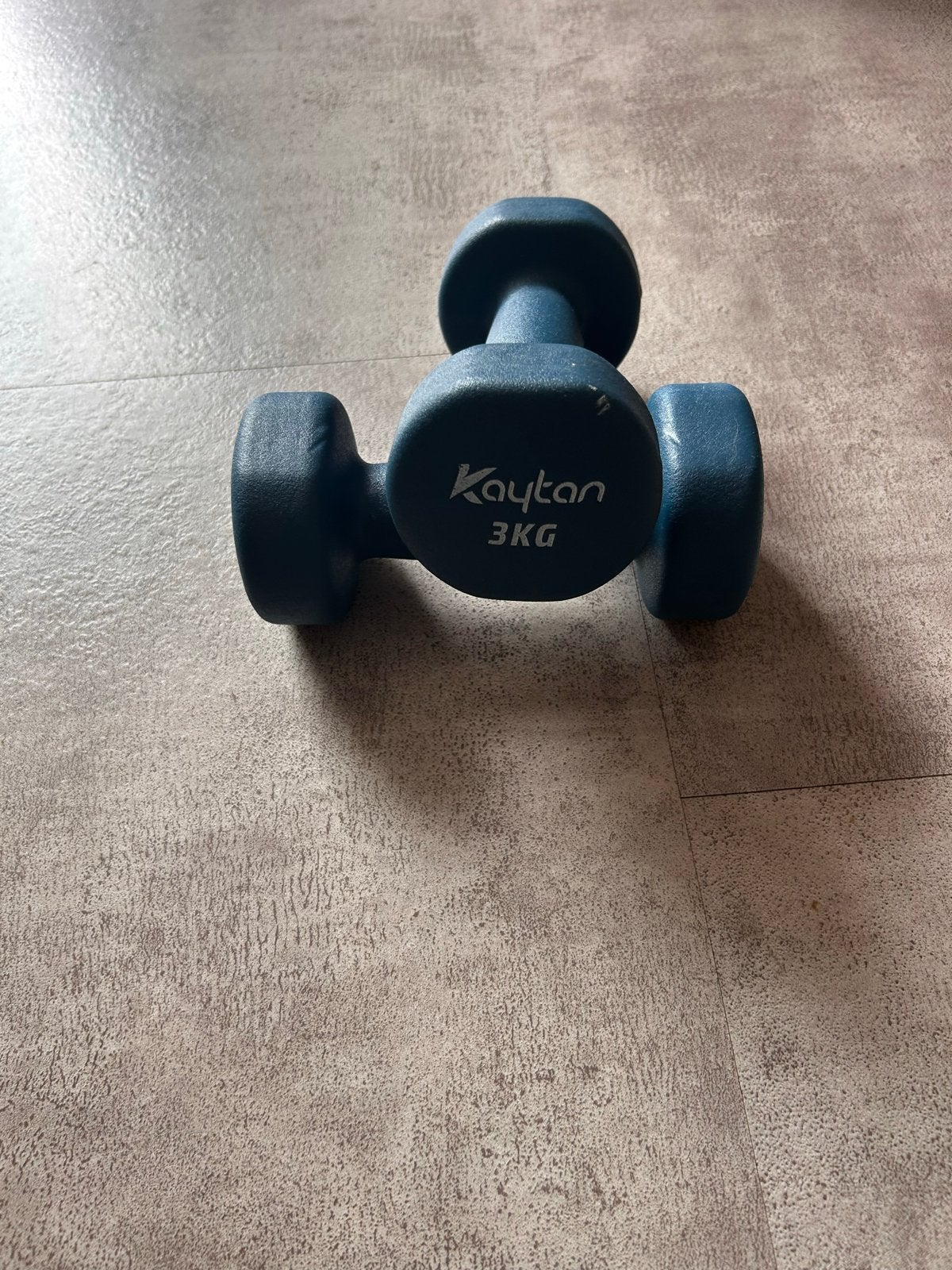 Kaytan Dumbbell 3KG - Ideaal voor thuistraining, Ophalen, Gebruikt, Armen, Dumbbell