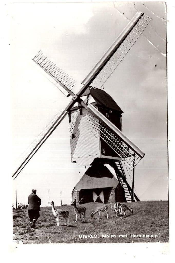 Mierlo  Molen Noord Brabant, Ophalen of Verzenden, 1940 tot 1960, Noord-Brabant