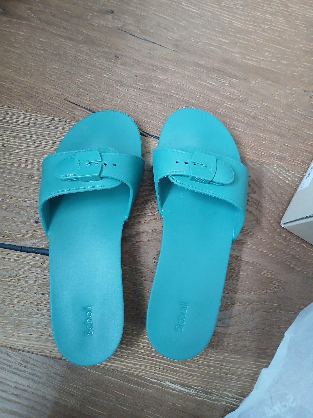 Scholl Iconic Slippers - Nieuw in Doos, Kleding | Dames, Schoenen, Slippers, Scholl, Overige kleuren, Nieuw