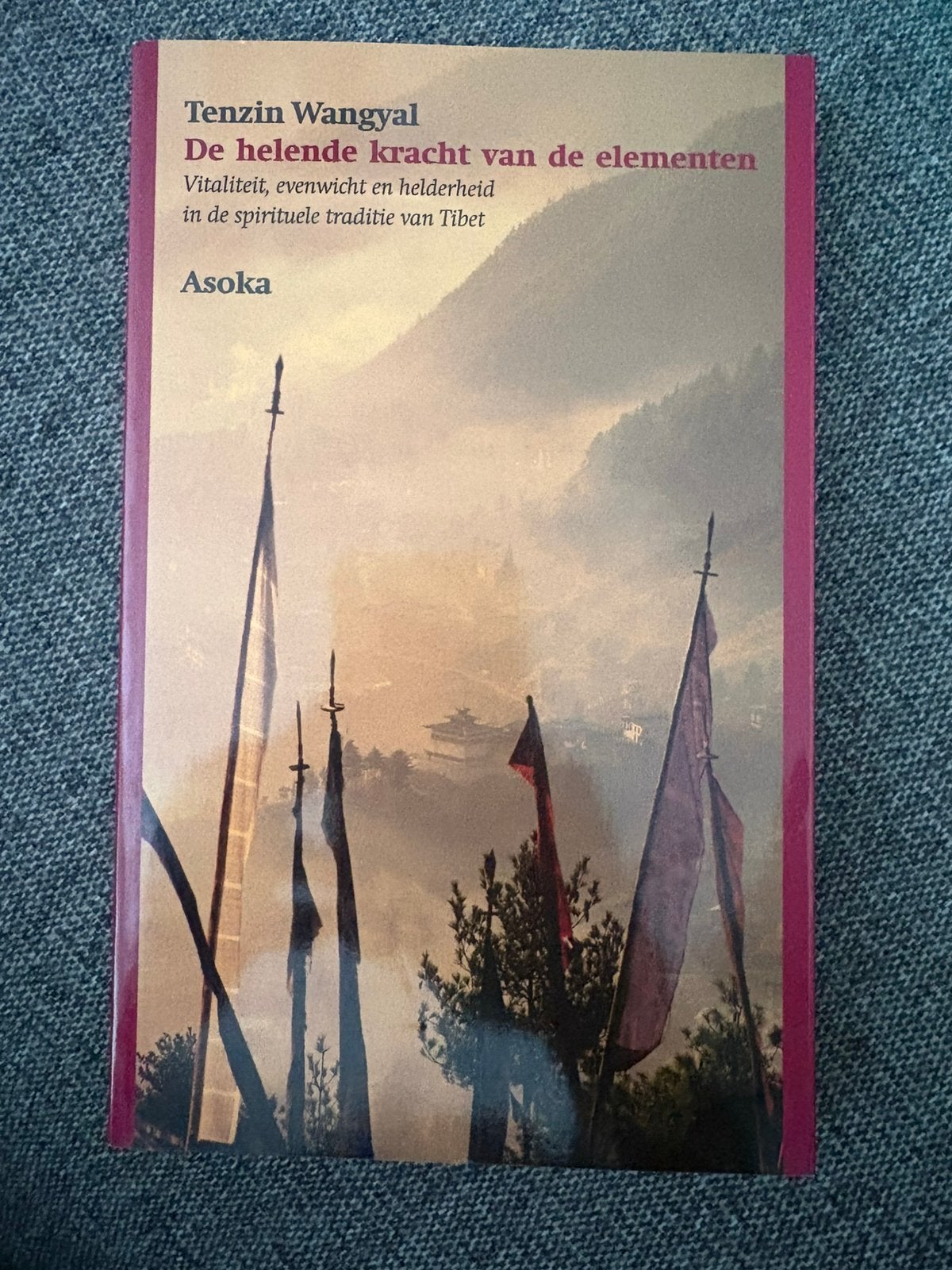 De helende kracht van de elementen – Tenzin Wangyal (Asoka), Boeken, Ophalen of Verzenden, Zo goed als nieuw, Cultuurfilosofie