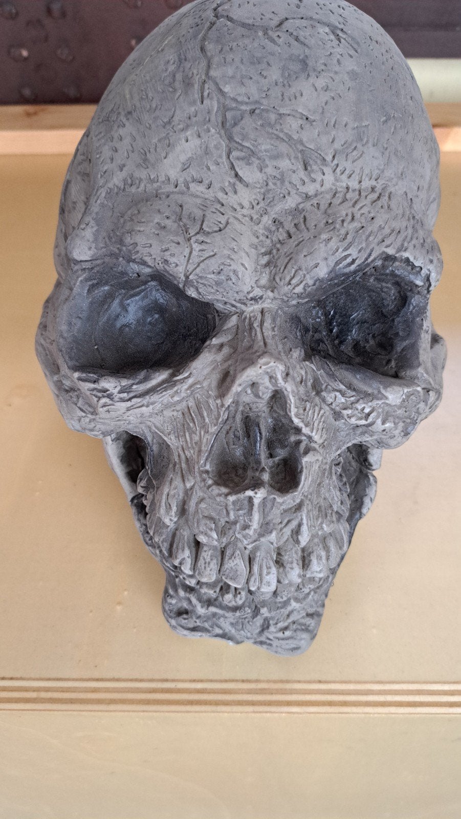 Kunstof schedel ware grootte, Ophalen, Halloween of Griezel