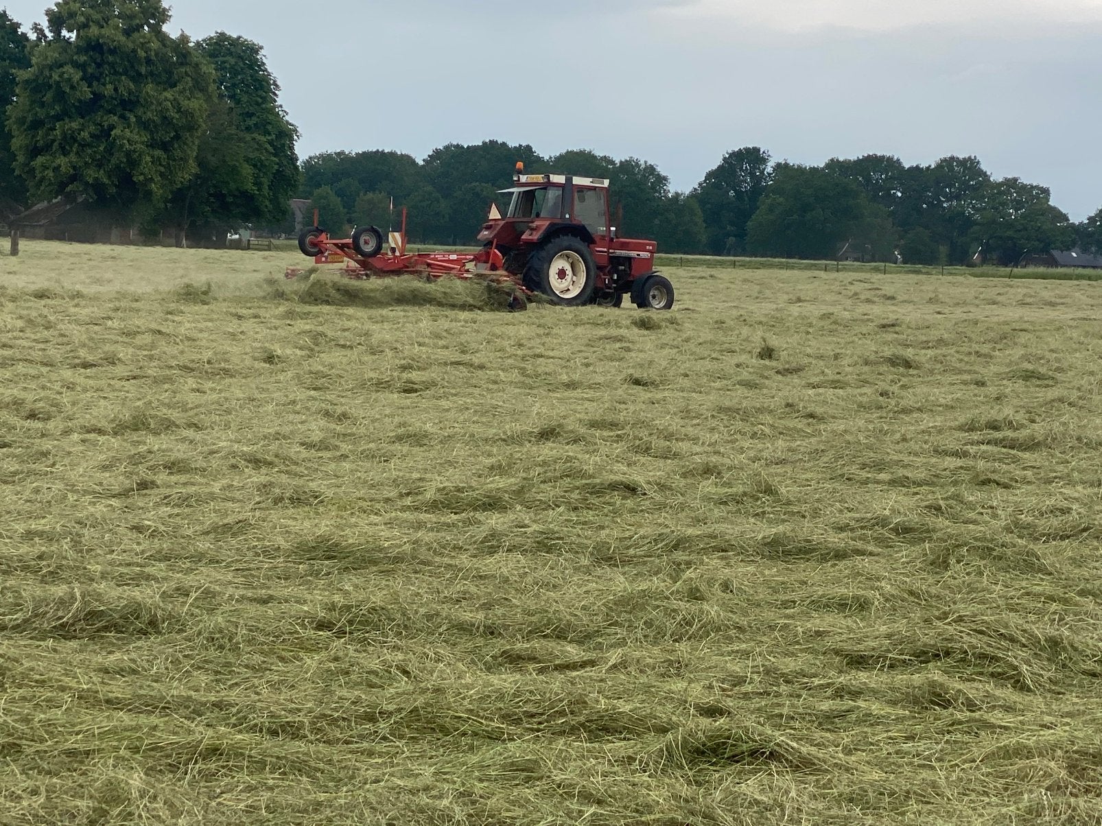 Hooi. Ronde balen. Midi balen. Vierkante balen., Dieren en Toebehoren, Stalling en Weidegang, Weidegang, 1 paard of pony