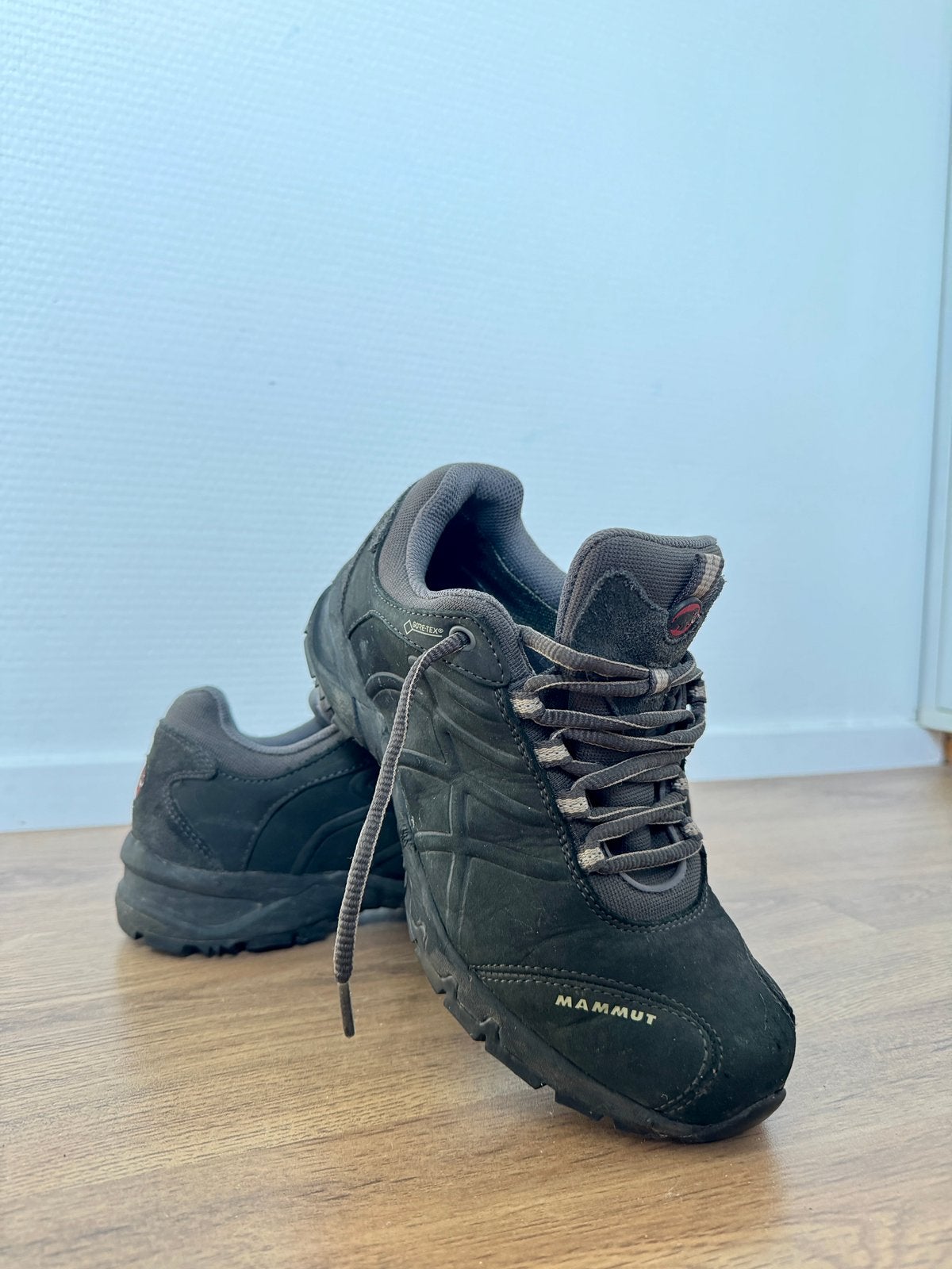 Mammut GTX dames wandelschoenen – maat 39 1/3, Ophalen of Verzenden, Zo goed als nieuw, Schoenen