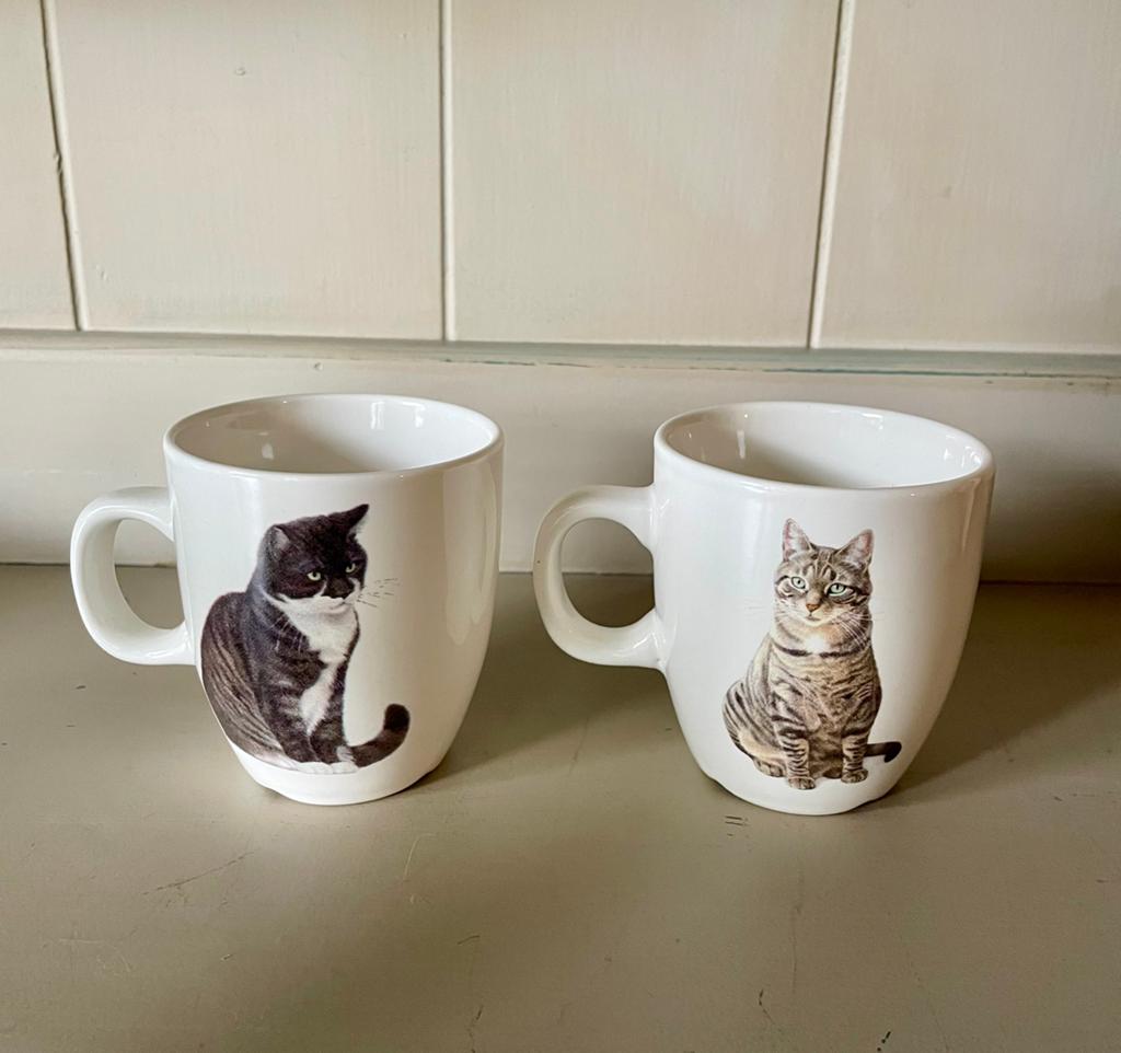 Franciens katten kopjes, Ophalen of Verzenden, Zo goed als nieuw, Overige stijlen, Kop(pen) en/of Schotel(s)