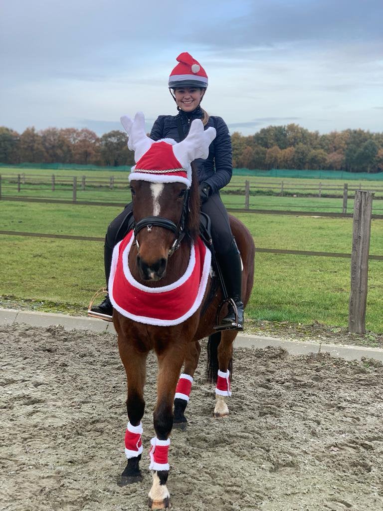 Kerst setje paard, Overige merken, Cob (M), Rood, Overige typen