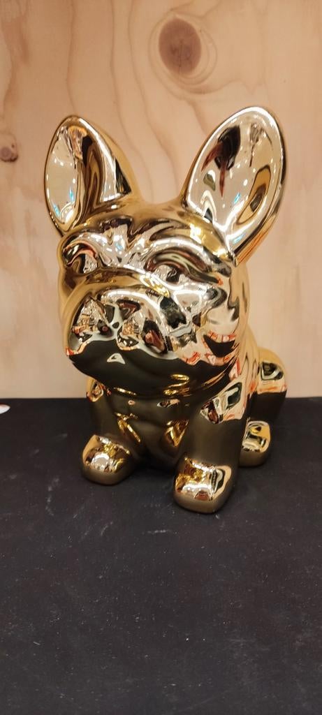Superleuk Franse Bulldog Spaarpot/Beeldje, Ophalen of Verzenden, Zo goed als nieuw