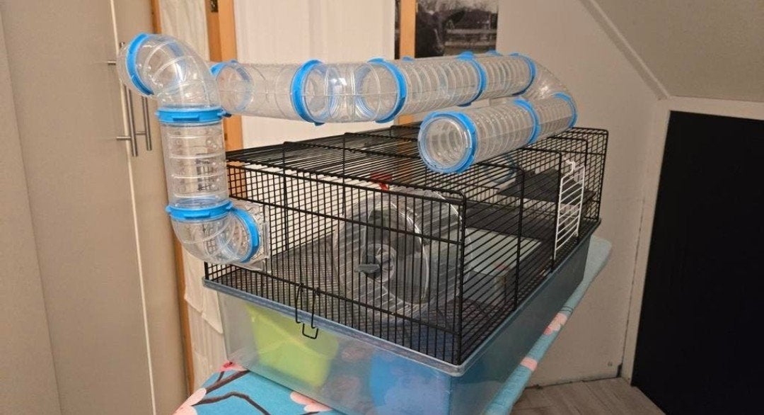 hamsterhok  compleet, Ophalen of Verzenden, Minder dan 75 cm, Hok, Minder dan 60 cm