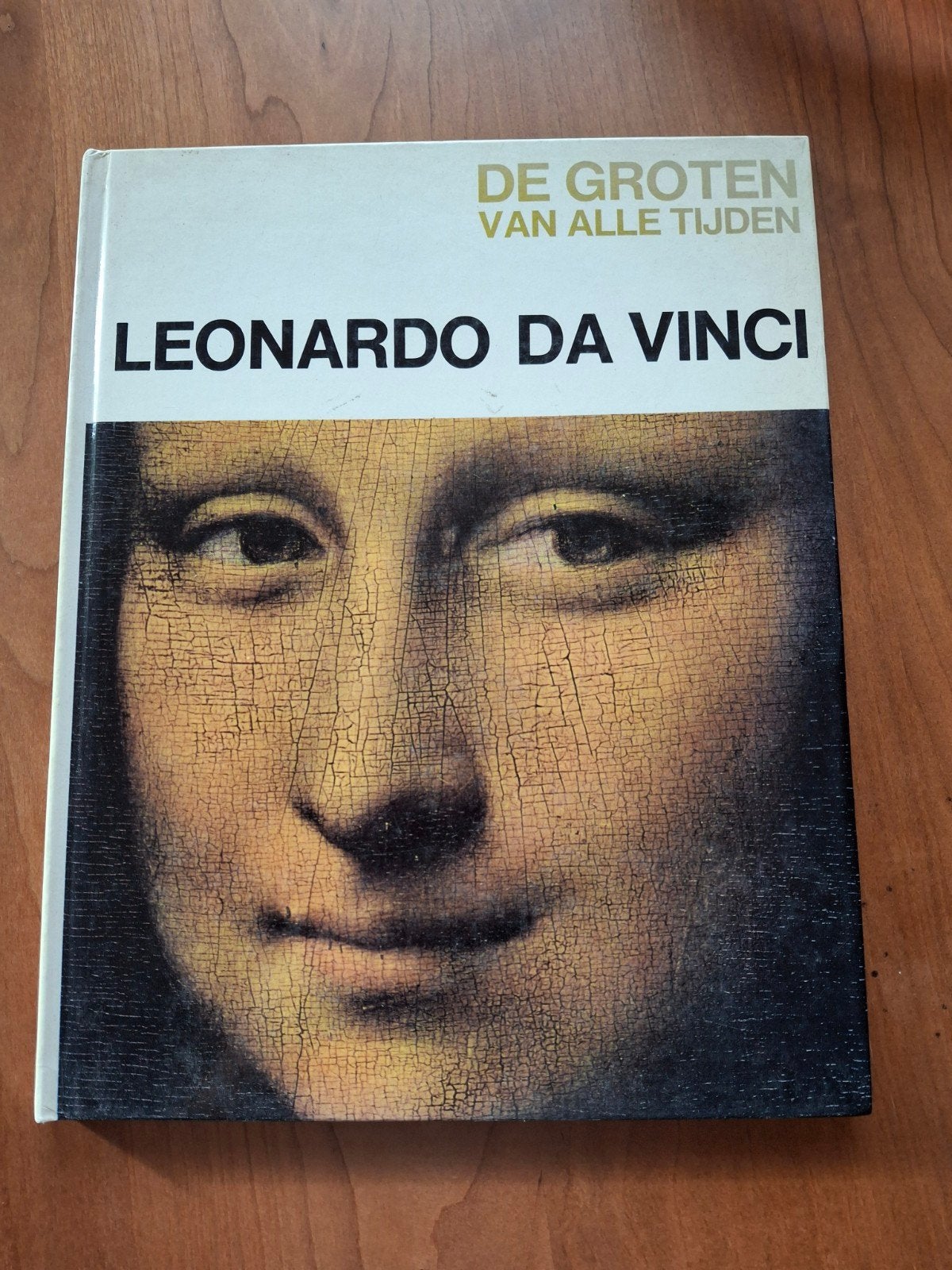 Leonardo Da Vinci De groten van alle tijden, Boeken, Ophalen of Verzenden, Gelezen